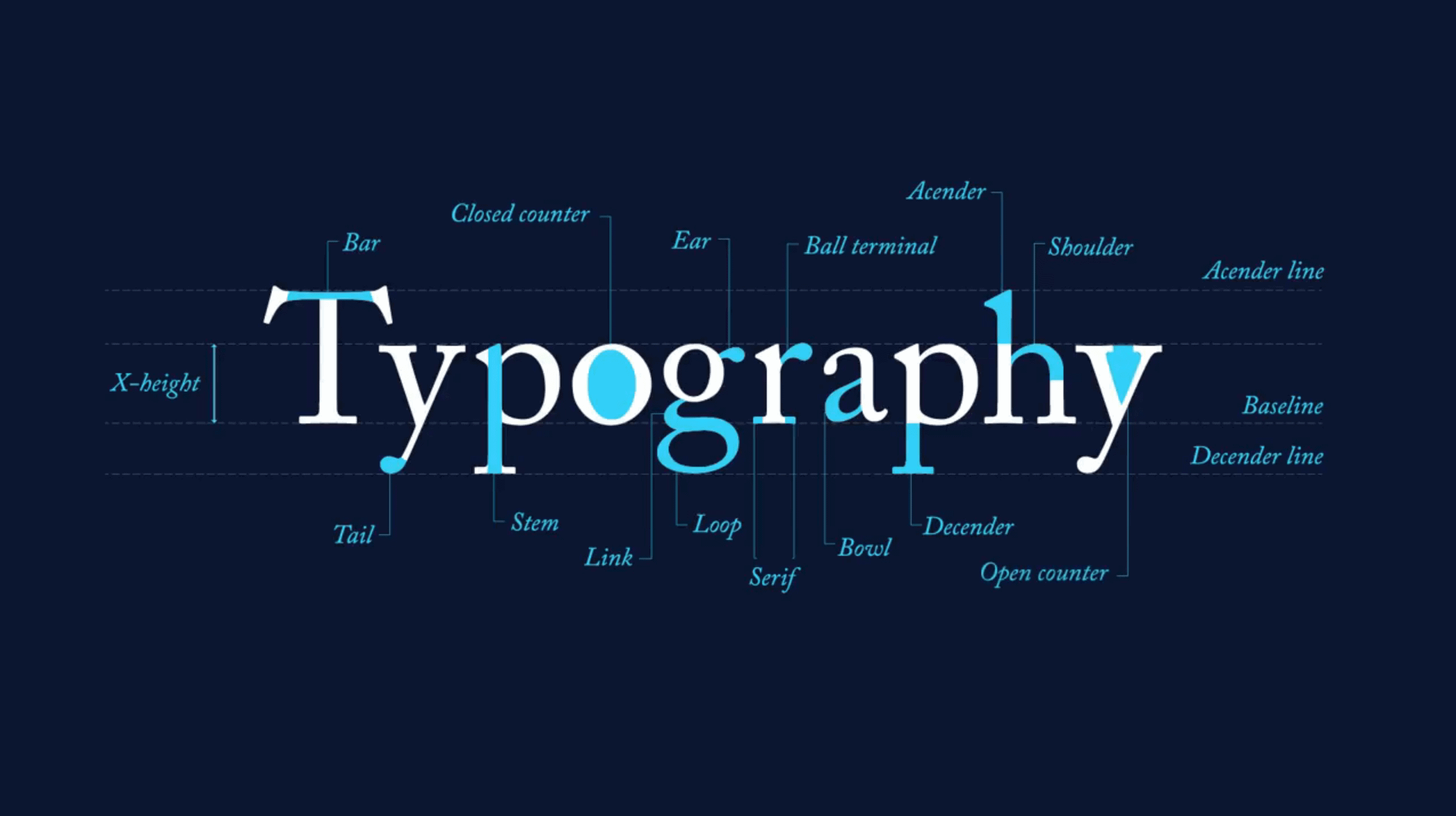 Дизайнерские шрифты. Красивая типографика. Типографика шрифты. Графический дизайн шрифты.