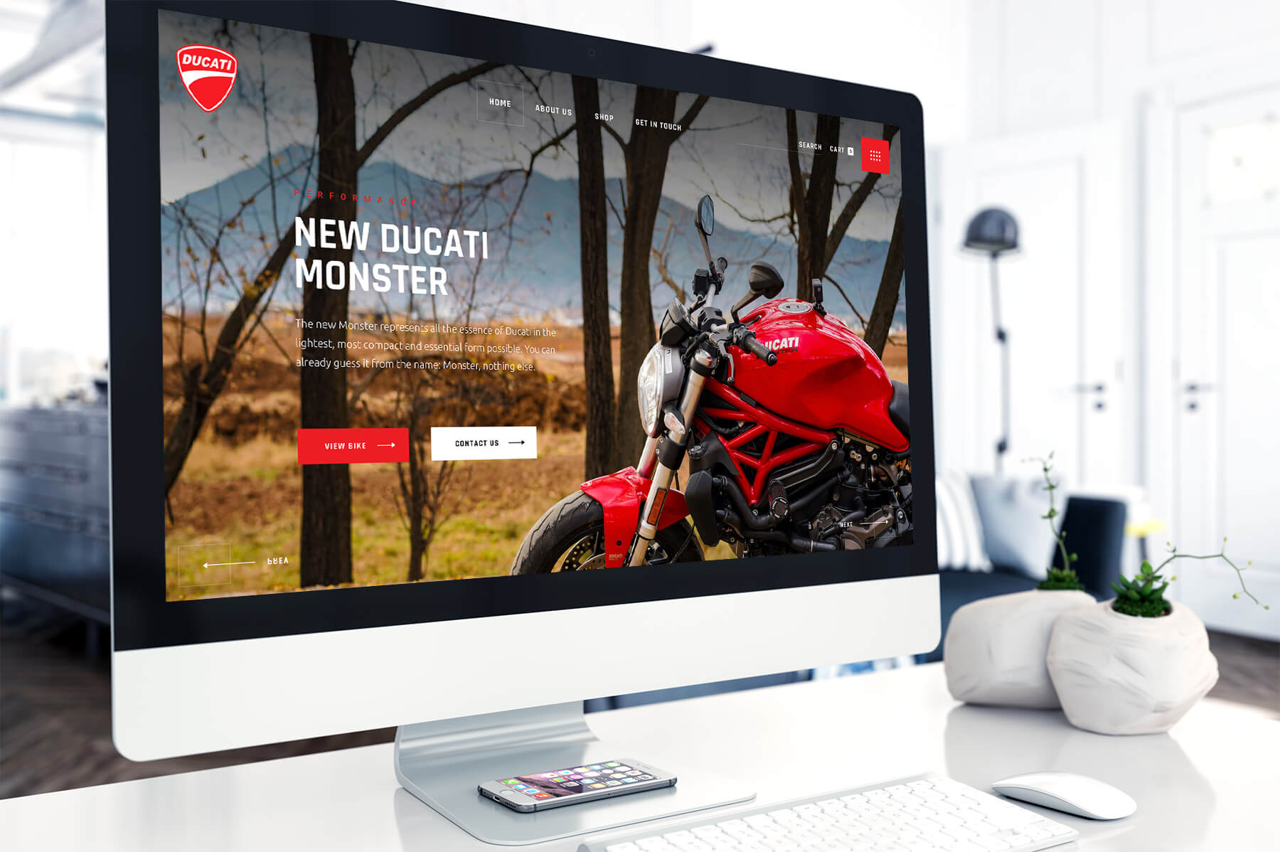 Web Design Adelaide - ❮❯ Blis Web Agency